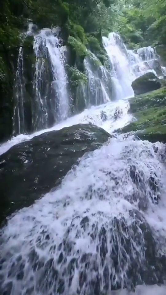 渡仙引